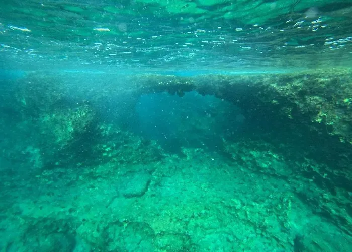 Rustic House Vila Xylophaghou