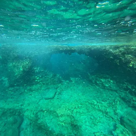 Rustic House Villa Xylophaghou