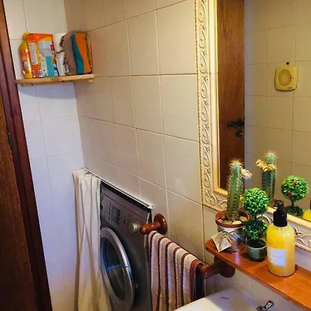 Vilă Rustic House *