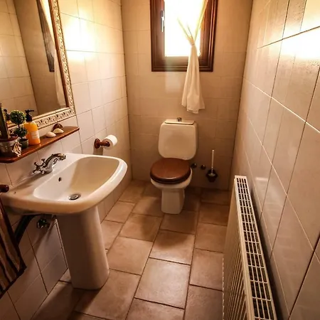 Rustic House Vilă *